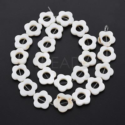 Freshwater Shell Beads Frames Strands X-SHEL-T009-14A-1