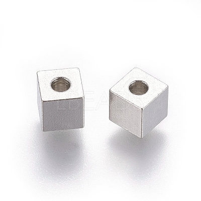 Non-Tarnish 202 Stainless Steel Beads X-STAS-F205-06P-C-1