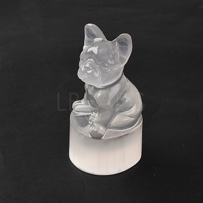 Natural Selenite Figurines DJEW-Q006-01B-1