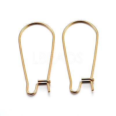 304 Stainless Steel Hoop Earring Findings STAS-P223-01G-05-1