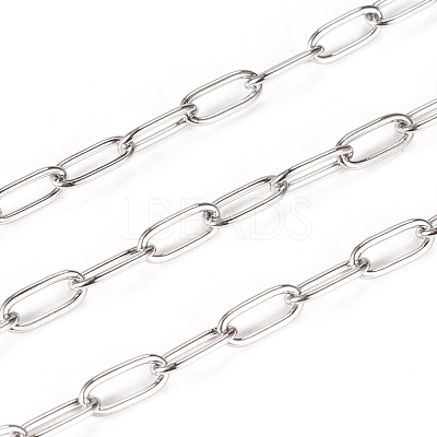 Tarnish Resistant 304 Stainless Steel Paperclip Chains CHS-F010-01D-P-1
