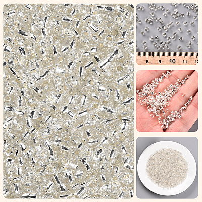 3000Pcs Glass Seed Beads SEED-PA0001-29B-05-1