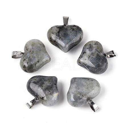 Natural Labradorite Pendants G-N361-01P-02-1