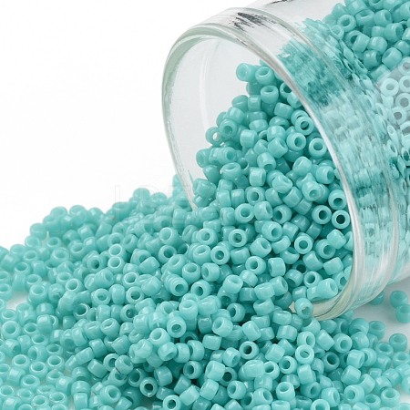 TOHO 11/0 Round Beads X-SEED-TR11-0055-1