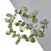 Natural Chrysoprase Beads Strands G-F645-16-01-4