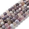 Natural Plum Blossom Tourmaline Beads Strands G-I355-01C-01-1