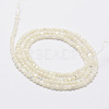 Natural White Shell Beads G-N0190-11-2mm-2