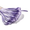 Polyester Embroidery Floss OCOR-C005-C24-2