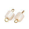 Natural Shell Square Connector Charms STAS-D378-23G-2