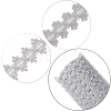 Polyester Lace Ribbons OCOR-WH0082-20B-6