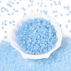 FGB Frosted Transparent Glass Seed Beads SEED-N013-06A-11-2