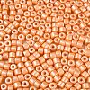 Baking Paint Pearlized Glass Seed Beads SEED-T008-03E-3