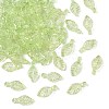 Transparent Acrylic Charms X-TACR-F009-11B-1
