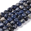 Natural Sodalite Beads Strands G-G146-A03-02-1