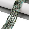 Natural African Turquoise(Jasper) Beads Strands G-P472-01-2