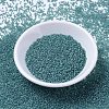 MIYUKI Delica Beads SEED-X0054-DB1283-2