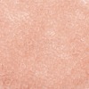 TOHO 8/0 Round Beads X-SEED-TR08-0011F-2