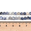 Natural Sodalite Round Bead Strands G-E334-4mm-08-8