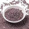 MIYUKI Round Rocailles Beads SEED-X0055-RR0410-2