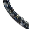 Natural Sapphire Beads Strands G-F803-A01-01B-4