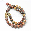 Natural Leopard Skin Jasper Bead Strands G-R345-8mm-30-2