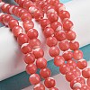 Dyed Natural Trochus Shell Beads Strands BSHE-G034-25B-2