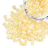 Glass Seed Beads SEED-A011-4mm-142-1