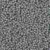 TOHO 11/0 Round Beads SEED-XTR11-PF0565-2