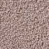 MIYUKI Round Rocailles Beads SEED-X0055-RR0579-3