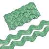Polyester Ribbons SRIB-S050-D03-1