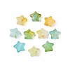 Frosted Acrylic Beads FACR-CJC0008-01C-2