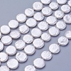 Shell Pearl Beads Strands X-BSHE-P030-01C-2