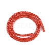 Natural Freshwater Shell Beads Strands BSHE-H109-04-3