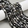 Natural Picasso Jasper Beads Strands G-K398-A01-01-1