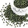 12/0 Glass Seed Beads SEED-S005-10-1