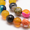 Natural Fire Crackle Agate Bead Strands X-G-K166-07F-10mm-16-4