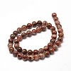 Natural Brecciated Jasper Round Bead Strands G-P072-12-10mm-2