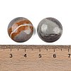 Natural Picasso Jasper Cabochons G-T020-18mm-42-3