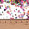 Baking Paint Glass Seed Beads X-SEED-S042-05B-48-4