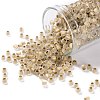 TOHO Round Seed Beads X-SEED-TR08-0989FM-1