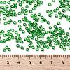 MIYUKI Round Rocailles Beads X-SEED-G008-RR0145-4