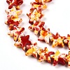 Spray Painted Synthetic Turquoise Beads Strands UNKW-T001-11K-04-2