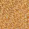 TOHO 11/0 Round Beads SEED-TR11-0103B-2