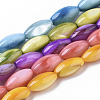 Natural Freshwater Shell Beads SHEL-R047-02-1