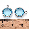 K9 Glass Charms GLAA-T023-37B-04-3