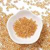 Glass Seed Beads SEED-H002-A-A624-2