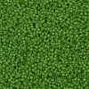 TOHO Round Seed Beads SEED-JPTR11-0306FM-2
