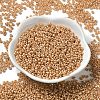 Baking Paint Glass Seed Beads SEED-P006-03A-24-2