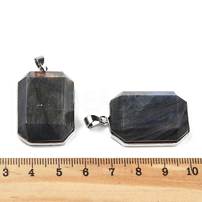 Natural Labradorite Pendants G-B139-02P-04-1