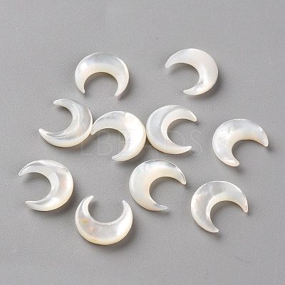 Natural White Shell Beads SSHEL-Q311-004A-01-1